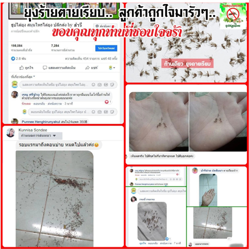 Nhang Muỗi Thảo Mộc Thái Lan Chính Hãng Diệt Đuổi Muỗi-1