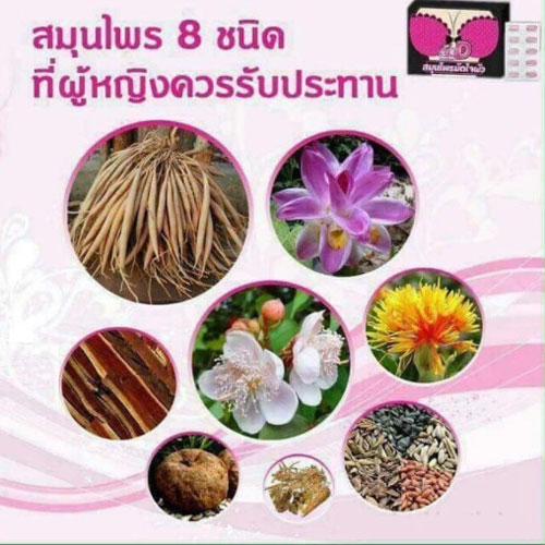 Viên Uống Nở Ngực SK Herb D Thái Lan Tăng - Giảm Cân-1